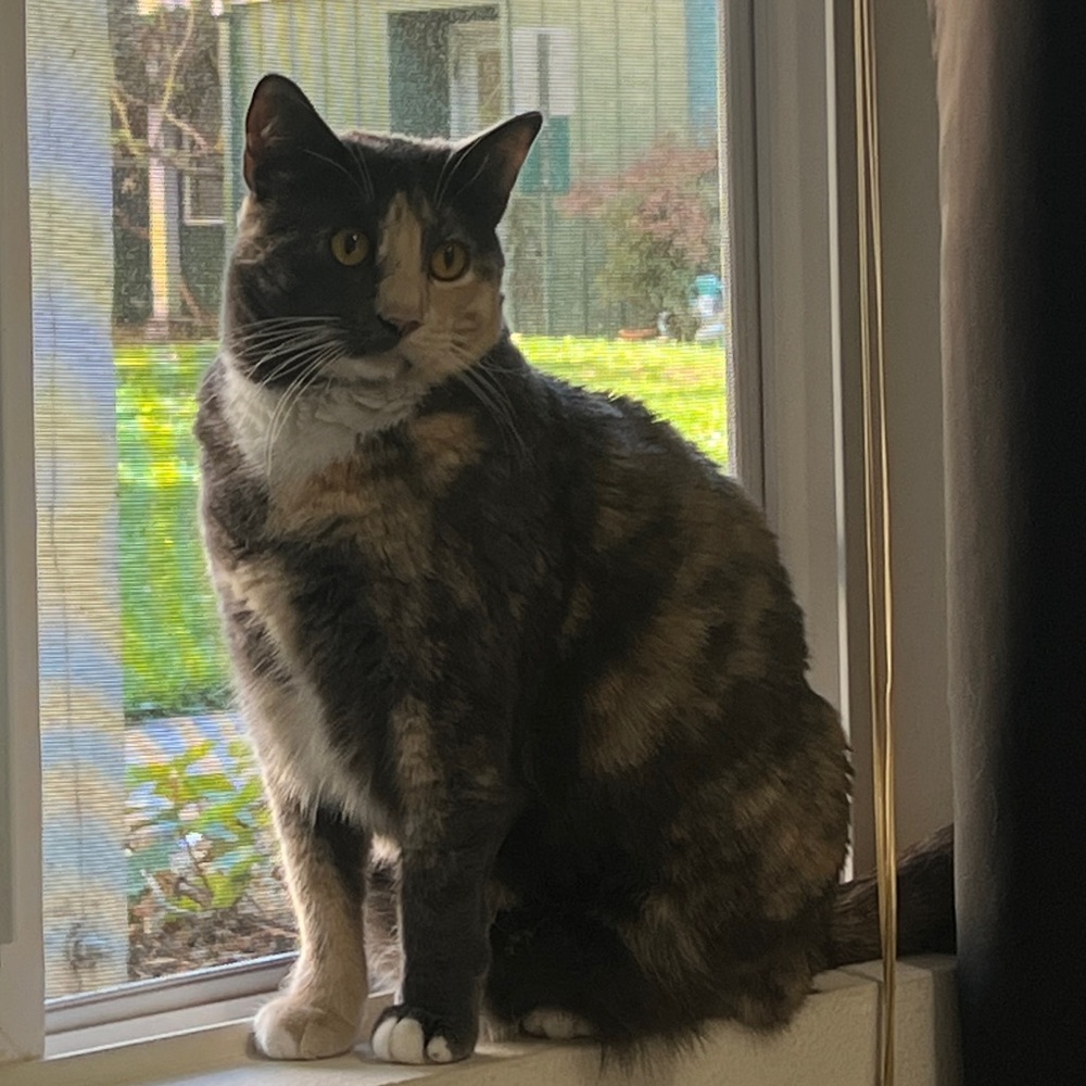 Meet your Posher, Katie
